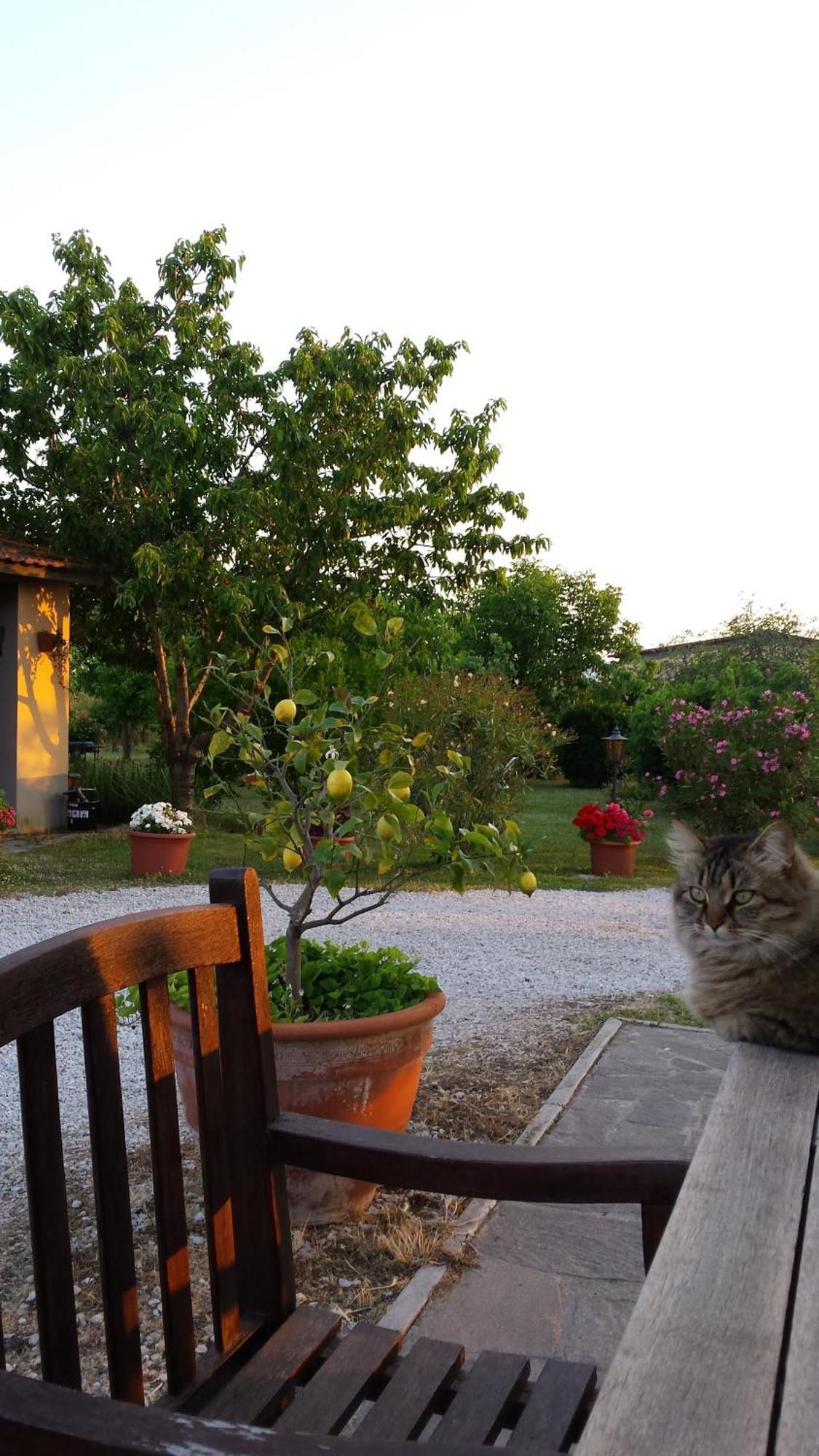 Willa Agriturismo Podere La Cascata Massa Marittima Zewnętrze zdjęcie