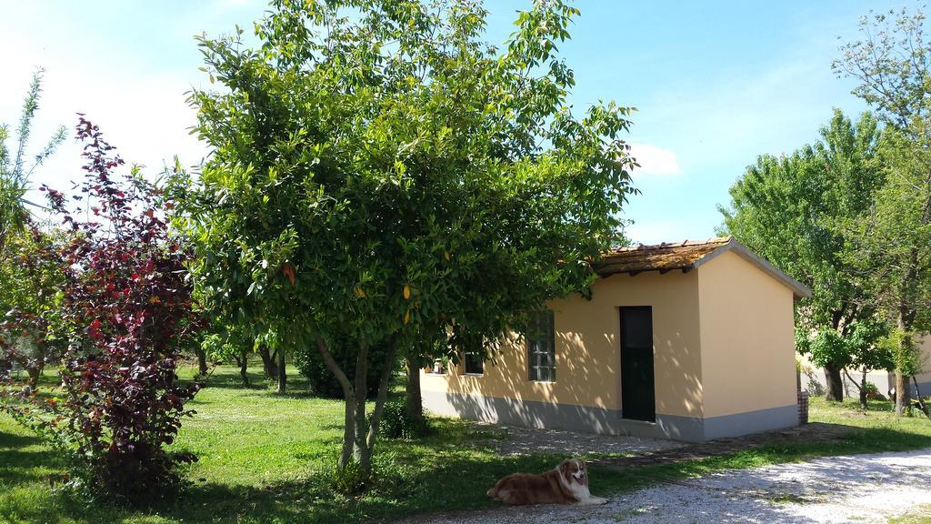 Willa Agriturismo Podere La Cascata Massa Marittima Zewnętrze zdjęcie