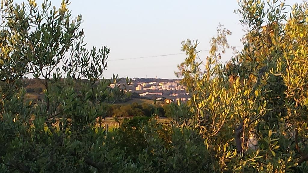 Willa Agriturismo Podere La Cascata Massa Marittima Zewnętrze zdjęcie