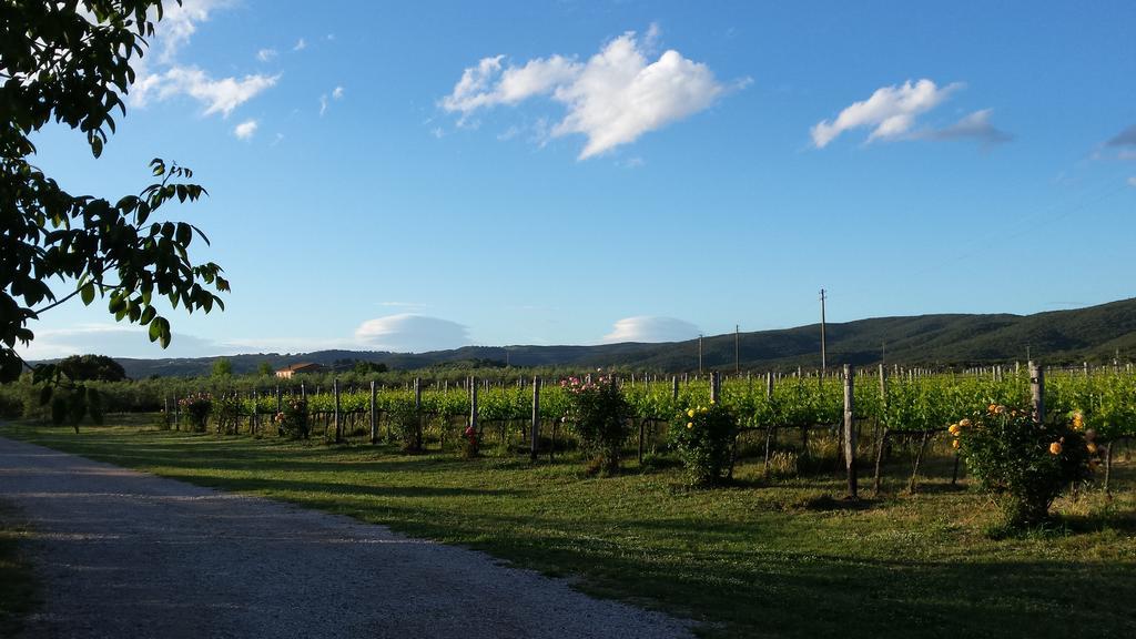 Willa Agriturismo Podere La Cascata Massa Marittima Zewnętrze zdjęcie